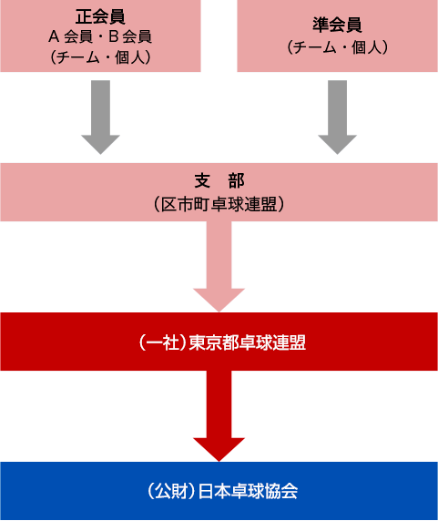 東京都卓球連盟登録の流れ